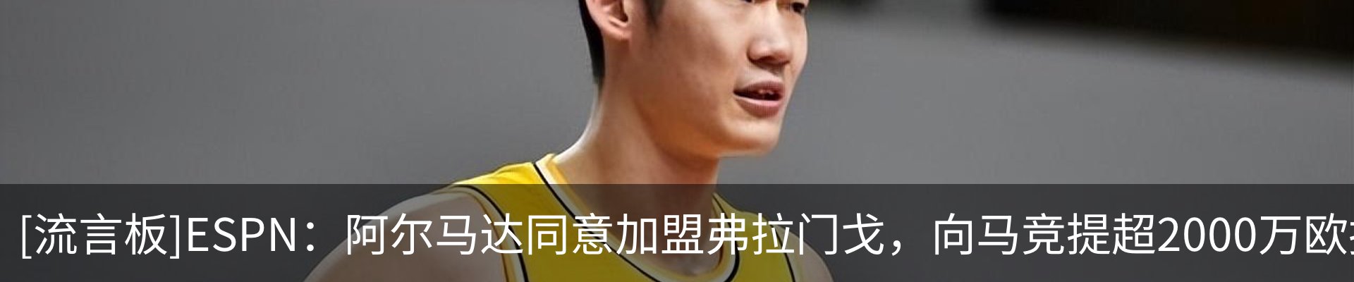 最新动态
